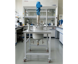 實驗室反應(yīng)釜